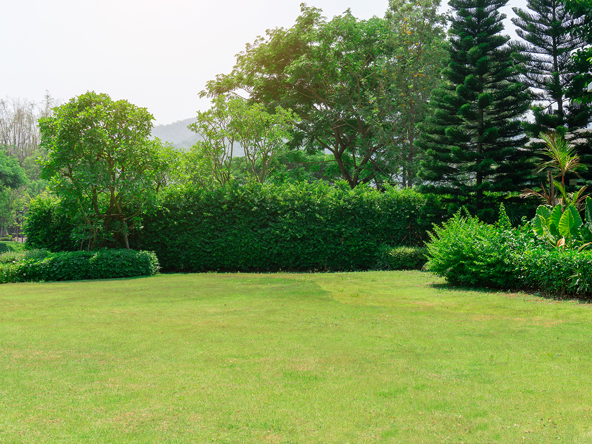 services à domicile Anglet