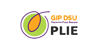GIP DSU